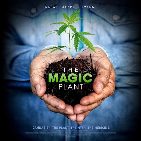 Magical plant exhibition